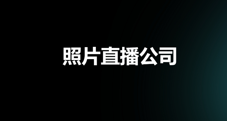 照片直播公司