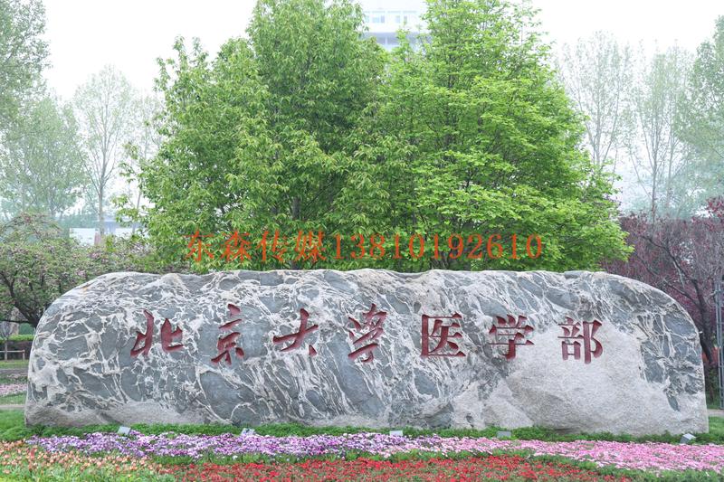 JIE_8776-oi4509971510.jpg
